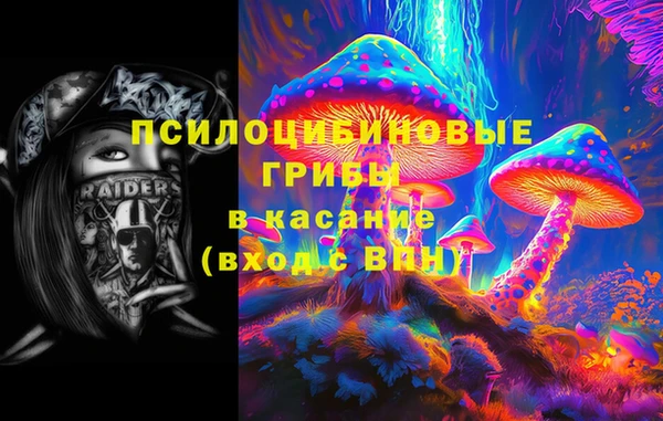 СК Вуктыл