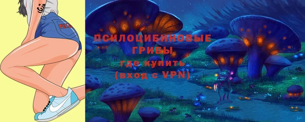 индика Воткинск
