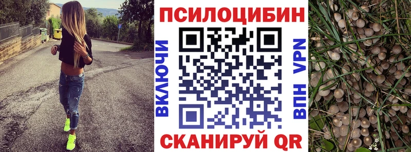 Псилоцибиновые грибы Psilocybine cubensis  где найти   Рубцовск 
